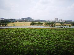-光明小镇欢乐田园