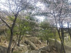 -崂山巨峰游览区