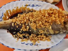 豉油糖炸黄花鱼-雅苑餐厅(朝天路店)