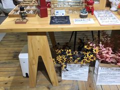 -肆兮眼镜·蔡司·徕卡战略合作店(大坪店)