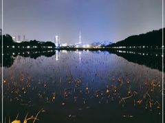 -月湖风景区