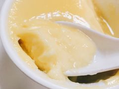 蛋白炖鲜牛奶-澳洲牛奶公司(佐敦店)