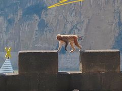 -白帝城·瞿塘峡景区