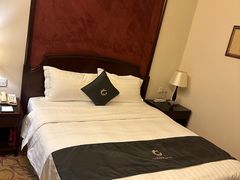 -广州科尔海悦酒店