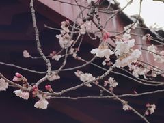 -堤角公园