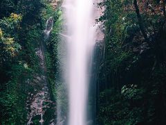 -莫里热带雨林景区