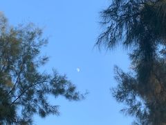 -龙舟池