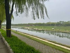 -洨河生态公园