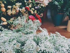 -Jo's Garden