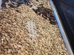 -钱小奴创意自助餐厅·山野黑猪肉畅吃(苏州昆山招商花园城店)