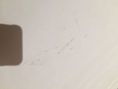 -上海华凯华美达广场酒店