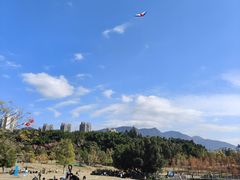 -牛岗山公园