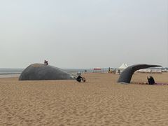 -金梦海湾浴场