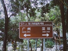 -东莞市大岭山森林公园