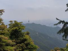 -梧桐山风景名胜区