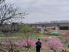 -秀丽东方