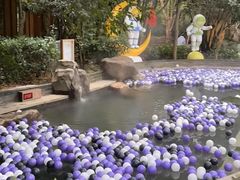 -汤连得温泉馆(宝山店)