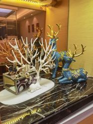-ROYEA茹彦祛痘·问题肌肤修护中心