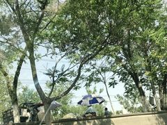 -绿堤公园