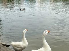 -中国农业博物馆