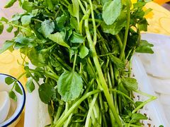 西洋菜-胖哥八兄弟大排挡(植村店)