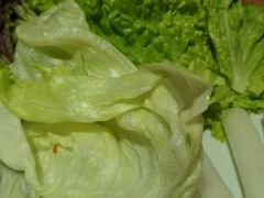 -萨拉伯尔水源素问店·韩国宫廷料理(人民路店)