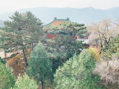 -普陀宗乘之庙(小布达拉宫)