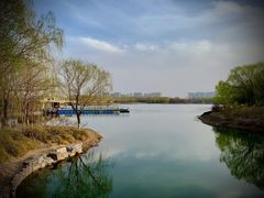 -大兴滨河森林公园