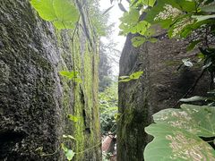 -莫干山风景区
