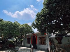 -荔苑老鱼庄