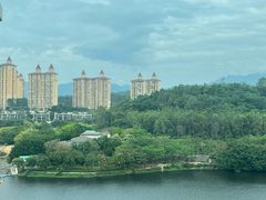 -惠州白鹭湖雅居乐喜来登酒店-盛宴标帜西餐厅