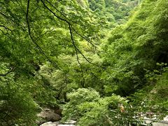 -少华山国家森林公园
