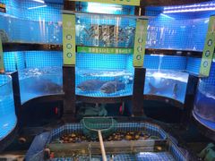 -千岛湖小鱼儿·淳安匠心农家菜