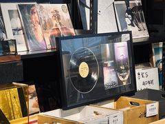 -Echo回声黑胶唱片咖啡馆