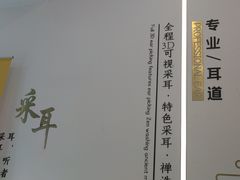 -乐老大耳道·可视采耳·禅洗(大成直营店)