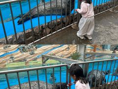 -泉城欧乐堡海洋极地世界