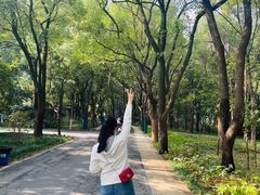 -东湖落雁景区