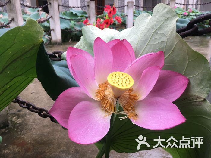 古德寺素菜馆图片 - 第2张