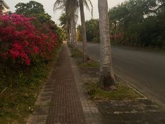 -海口绿发希尔顿酒店-田园汇自助餐·三文鱼·海鲜