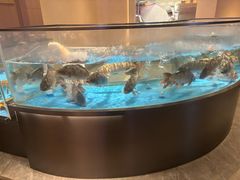 -阿庄新豫菜(航海东路店)