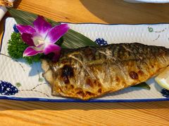 青花鱼-酒井酱子·深夜食堂(东城汇店)