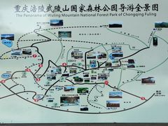 -武陵山森林公园