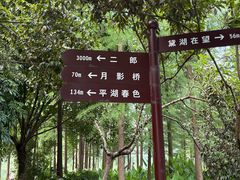 -重庆彩云湖湿地公园