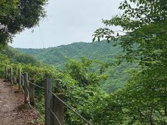 -龙窝子