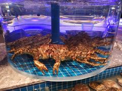 -一方渔歌蒸汽海鲜自助(文化路万达广场店)