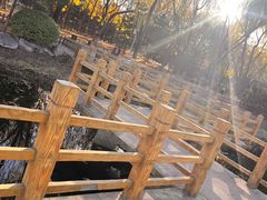 -东升八家郊野公园