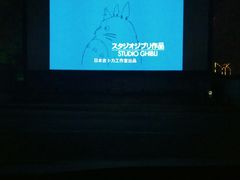 -枫花园汽车电影院(朝阳公园店)