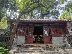 -北京凤凰岭