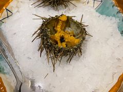 活海胆-万岛日本料理铁板烧(太古里店)