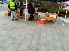 -平望服务区·停车场